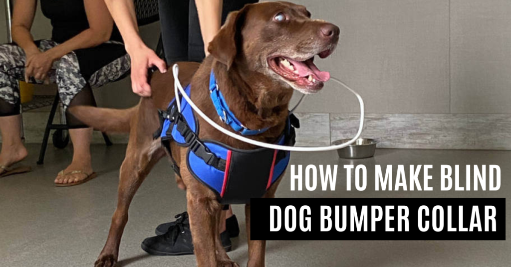 How to make blind dog bumper collar