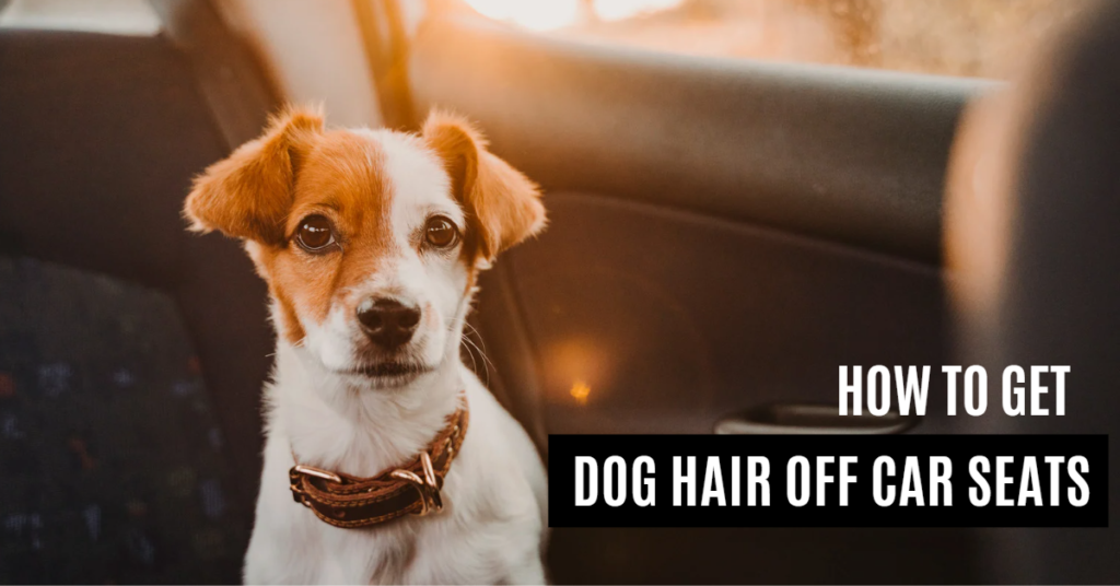 How to get dog hair off car seat