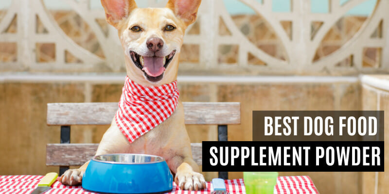 Best Dog Food Supplement Powderr